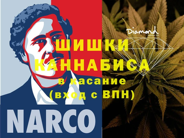 шишки Нягань