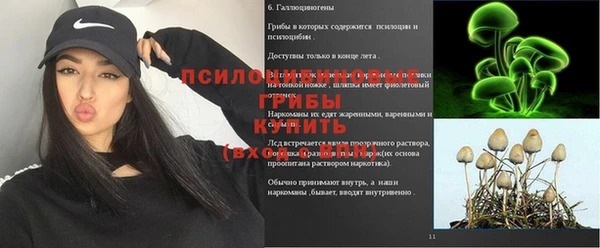 СК Балахна