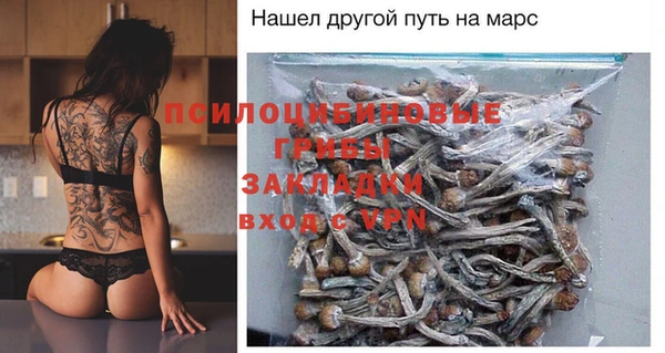 СК Балахна