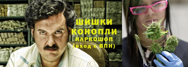 шишки Нягань