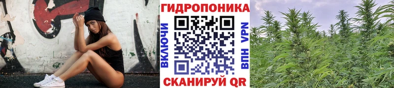 площадка состав  Красноперекопск  Канабис конопля 